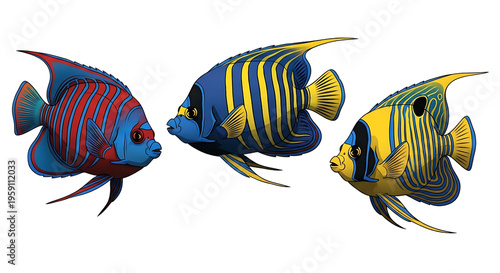 Colorful tropical fish swimming, marine life illustration for aquarium and ocean concept