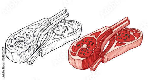 Raw Lamb Chops - Color and Outline Illustration