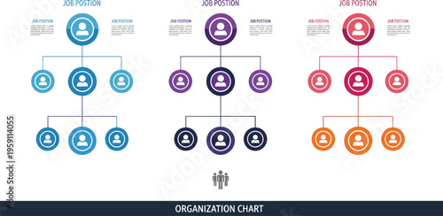 Organization chart infographic hierarchy structure job position business team vector