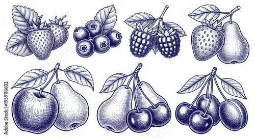 Hand-drawn Fruits and Berries Collection: Strawberries, Blueberries, Raspberries, Pears, Apple, Cherries