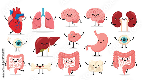 Collection of cute cartoon internal human organs with happy faces including heart, lungs, brain, stomach, and kidneys in flat style.