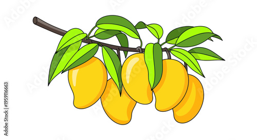 Ripe Mangoes on a Branch with Green Leaves, Tropical Fruit Illustration
