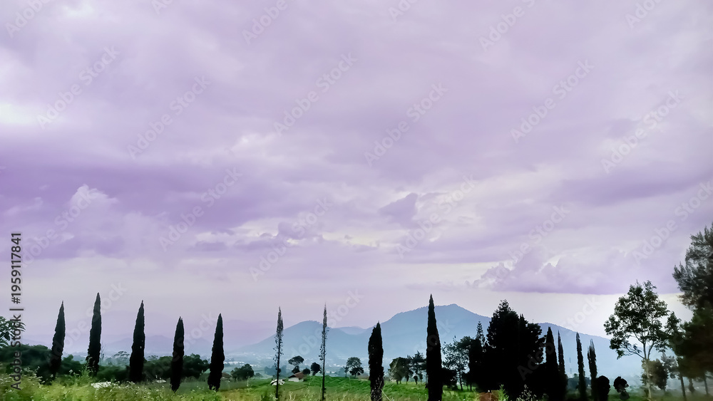 Obraz premium A serene landscape view with tall fir trees in the foreground, green meadows, and misty mountains in the distances