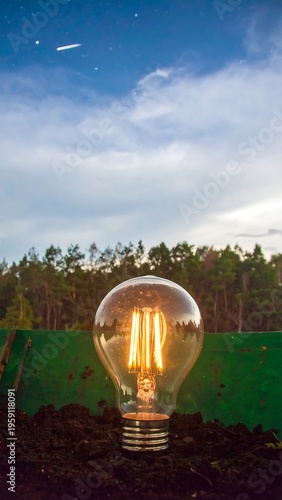 Illuminated bulb in nature