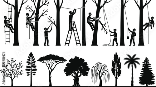Professional arborist and tree trimmer silhouette set featuring workers climbing, pruning, using chainsaws and maintaining diverse trees for forestry, landscaping, and industrial tree service concepts