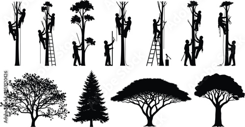 Professional arborist and tree trimmer silhouette set featuring workers climbing, pruning, and maintaining diverse trees for forestry, landscaping, and industrial tree service concepts