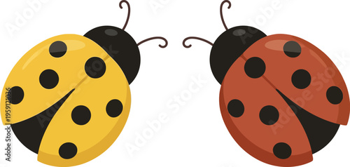 Two ladybugs facing each other in a cute cartoon illustration
