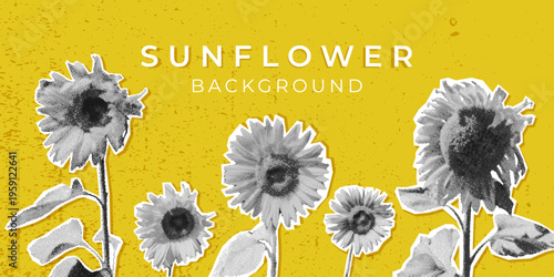 Sunflower background with black halftone flowers on mustard yellow backdrop. Retro botanical banner in collage style for poster, cover, branding, social media, seasonal design. Vector illustration