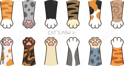 Cat paws in different colors and patterns on white background