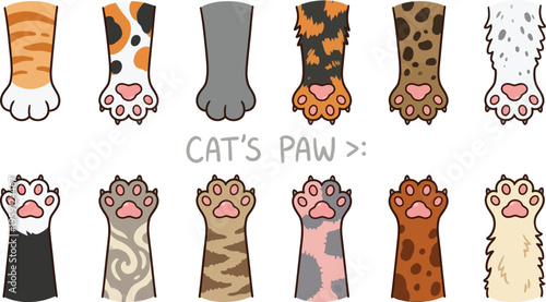 Cat paws in different colors and patterns on white background