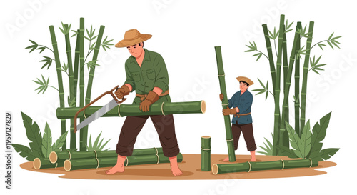Farmers cutting bamboo for construction in a lush green bamboo forest