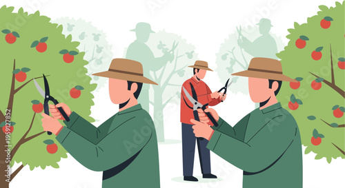 Farmers harvesting apples from trees in an orchard, seasonal fruit picking, agricultural work