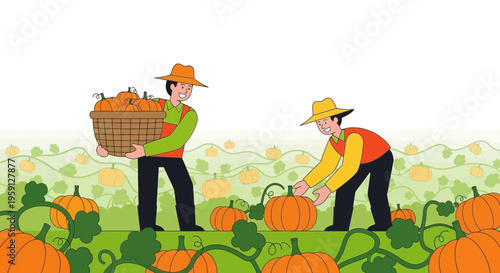 Farmers harvesting pumpkins in a field during autumn harvest season, illustration