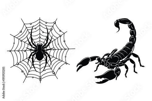 Spider on web and scorpion illustration