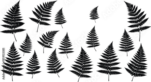 Set of fern leaf silhouettes in various shapes black botanical vector illustration collection isolated on white background