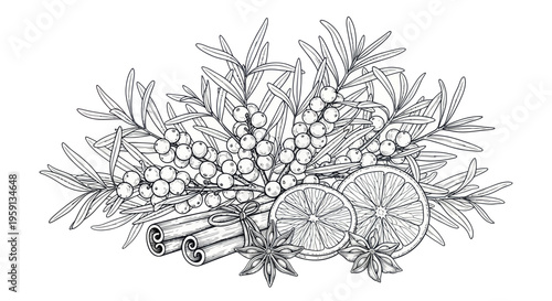 Winter Spices and Berries: Hand-drawn Illustration of Orange Slices, Cinnamon, Star Anise, and Sea Buckthorn
