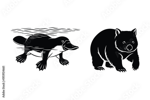 Platypus swimming and wombat illustration