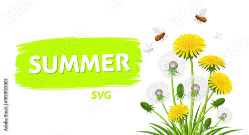 Summer Dandelions and Flying Insects on White Background, Vector Art