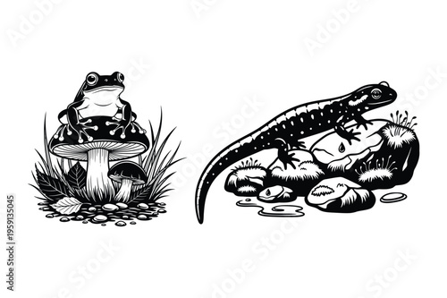 Frog on mushroom and lizard on rocks illustration
