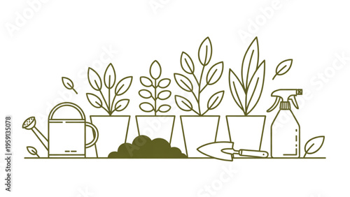 A collection of various potted plants arranged with gardening tools for home indoor cultivation Vector