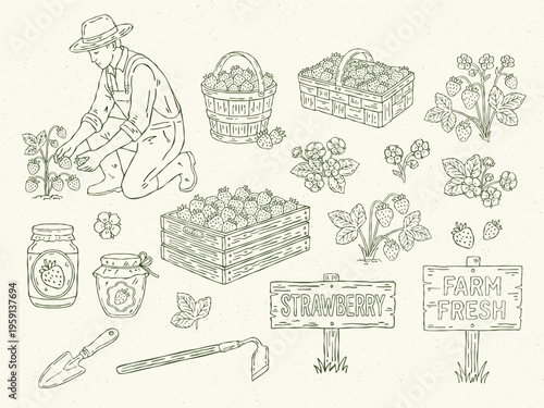Hand drawn vector strawberry line art set. Farmer picking strawberries, baskets, bucket and crates with strawberries, jars of strawberry jam, strawberry plants, flowers, leaves, farm tools, and signs