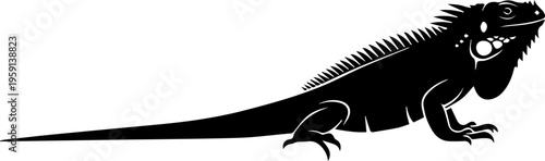 silhouette of a dragon