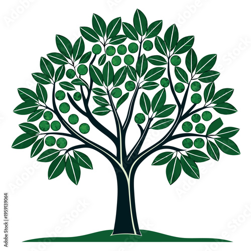 Fig tree illustration vector design 