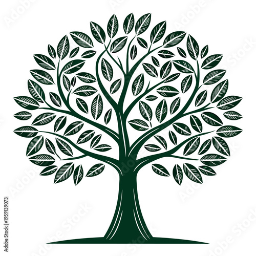 Fig tree illustration vector design 