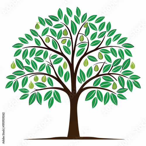 Fig tree illustration vector design 