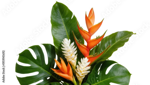 Foto Vibrant orange Heliconia flowers and lush green Monstera leaves, beautifully arr