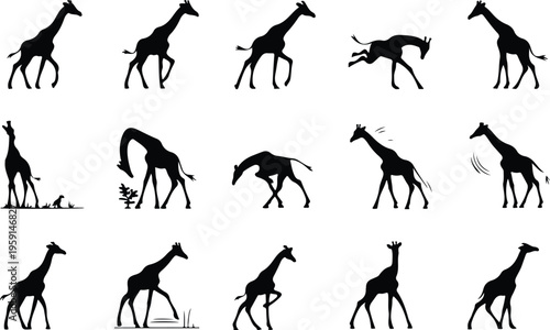 Giraffe Silhouette Icon Collection Set