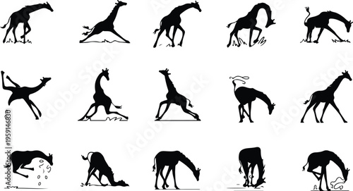 Giraffe Silhouette Icon Collection Set
