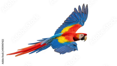 Bild auf Leinwand Vibrant scarlet macaw with brilliant blue and yellow plumage soaring gracefully,