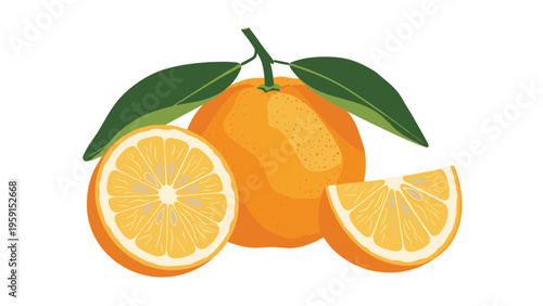 Fresh orange fruit illustration featuring a whole orange with green leaves alongside a half-cut and a small wedge for healthy food concepts.