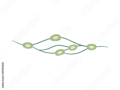 Swollen Lymph Nodes Clip Art
