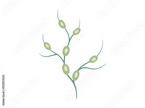 Hand Drawn Swollen Lymph Nodes