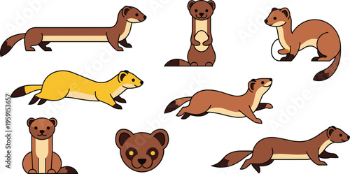 Cute Weasel and Ferret Cartoon Icon Set with Adorable Small Mammals in Different Poses Wildlife Animal Illustration Collection