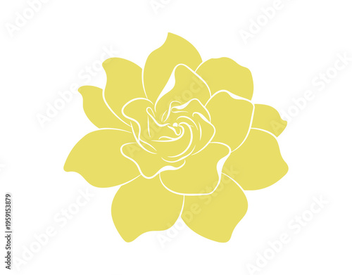 Minimal vector artwork of a blooming gardenia jasmine houseplant.