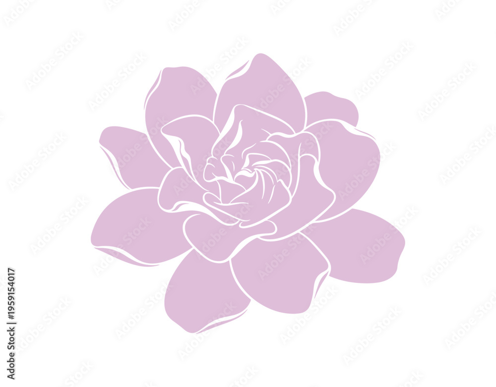 Fototapeta premium Artistic vector design featuring a gardenia jasmine flower for indoor decor.