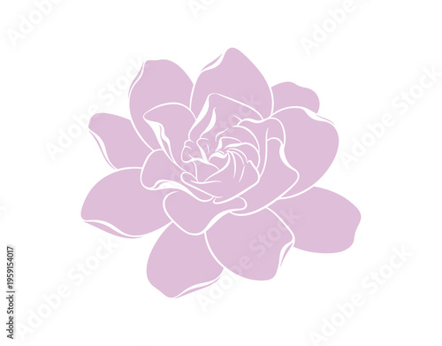 Artistic vector design featuring a gardenia jasmine flower for indoor decor.