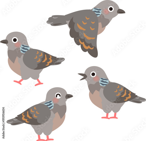 キジバトのイラストセット