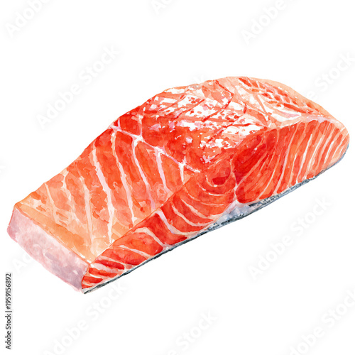 Professional Raw Salmon Fillet Watercolor Isolated on White Background for Culinary Designs