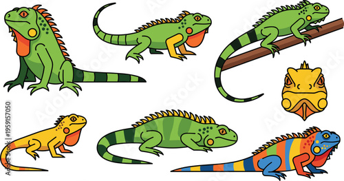 Iguana Lizard Character Set with Different Poses Climbing Crawling Sitting and Color Variations Flat Cartoon Reptile Vector Illustration Collection