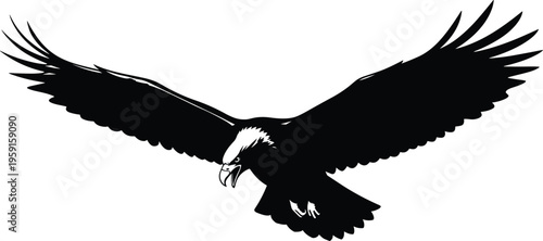 Majestic bald eagle flying silhouette vector illustration featuring spread wings and predatory talons for patriotic American symbols wildlife nature conservation and sports mascot designs.