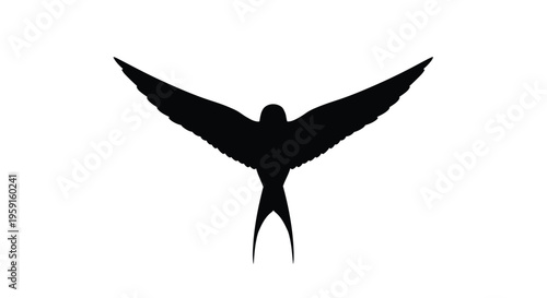 Photos A striking silhouette of a bird in full flight with wings outstretched
