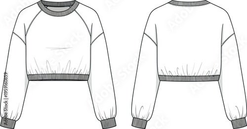 Women's Fashion Raglan Sleeve Cropped Sweatshirt Vector Technical Flat Sketch with Ribbed Crew Neckline and Elasticated Waistband Apparel Design Template
