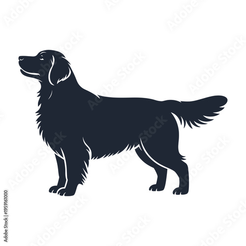 Golden Retriever Silhouette Vector Standing Side View Isolated on White Background for Pet Lovers and Breeders