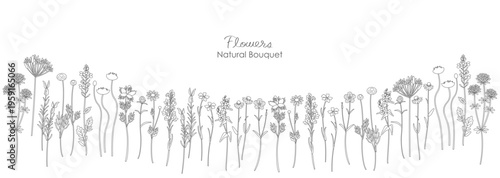 いろいろな草花のナチュラルなイラスト