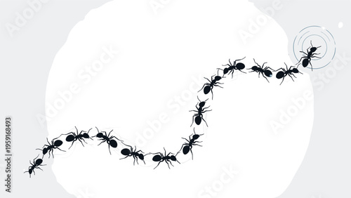 Line of black ants marching in a curved trail across a light grey circular background representing teamwork and diligence.
