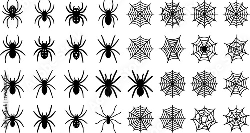 Spider Arachnid Spider-Web Spider-Silhouette Tarantula Web-Spider Spider-Insect Halloween-Spider Black-Widow Spider-Creature Vector Set - Spider Arachnid